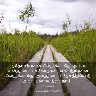 Picture 03 - உபாகமம் 23:7 TAMIRV - “ஏதோமியனை - Bible Verse Picture