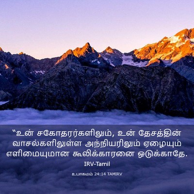 Picture 03 - உபாகமம் 24:14 TAMIRV - “உன் - Bible Verse Picture