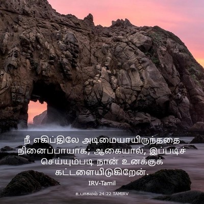 Picture 03 - உபாகமம் 24:22 TAMIRV - நீ எகிப்திலே - Bible Verse Picture
