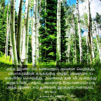 Picture 03 - உபாகமம் 24:3 TAMIRV - அந்த இரண்டாம் - Bible Verse Picture