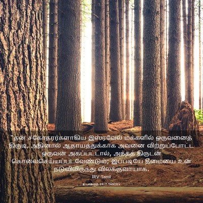 Picture 03 - உபாகமம் 24:7 TAMIRV - “தன் - Bible Verse Picture