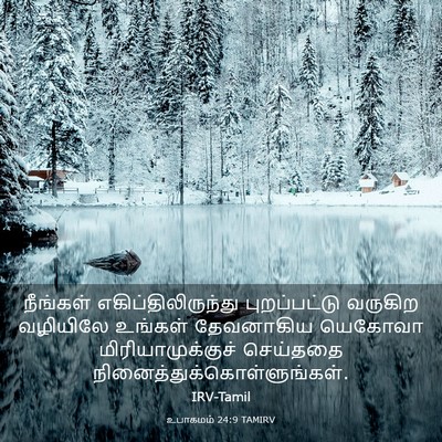 Picture 03 - உபாகமம் 24:9 TAMIRV - நீங்கள் - Bible Verse Picture