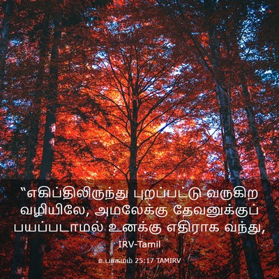 Picture 03 - உபாகமம் 25:17 TAMIRV - “எகிப்திலிருந்து - Bible Verse Picture