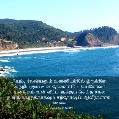 Picture 03 - உபாகமம் 26:11 TAMIRV - நீயும், லேவியனும் - Bible Verse Picture