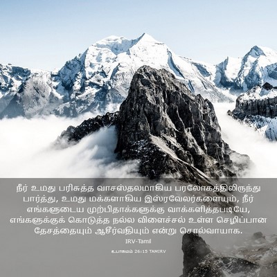 Picture 03 - உபாகமம் 26:15 TAMIRV - நீர் உமது - Bible Verse Picture