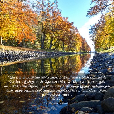 Picture 03 - உபாகமம் 26:16 TAMIRV - “இந்தக் - Bible Verse Picture