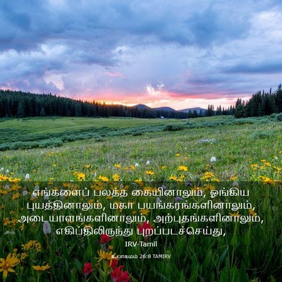 Picture 03 - உபாகமம் 26:8 TAMIRV - எங்களைப் பலத்த - Bible Verse Picture