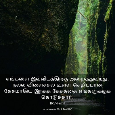 Picture 03 - உபாகமம் 26:9 TAMIRV - எங்களை - Bible Verse Picture