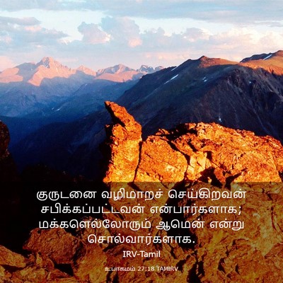 Picture 03 - உபாகமம் 27:18 TAMIRV - குருடனை வழிமாறச் - Bible Verse Picture