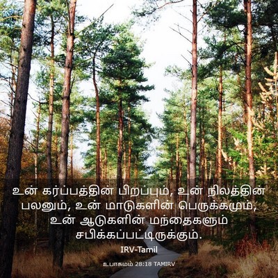 Picture 03 - உபாகமம் 28:18 TAMIRV - உன் கர்ப்பத்தின் - Bible Verse Picture