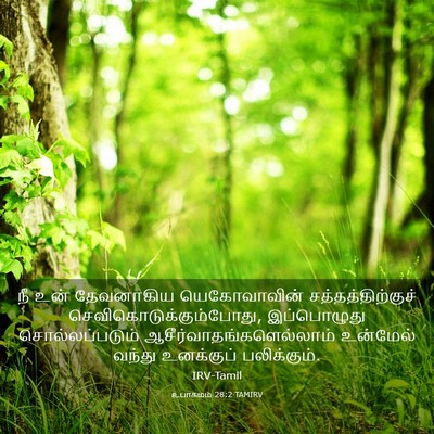 Picture 03 - உபாகமம் 28:2 TAMIRV - நீ உன் தேவனாகிய - Bible Verse Picture