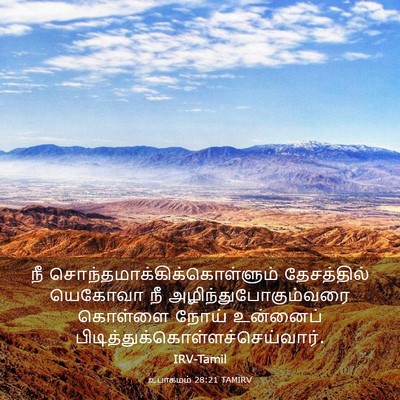 Picture 03 - உபாகமம் 28:21 TAMIRV - நீ - Bible Verse Picture