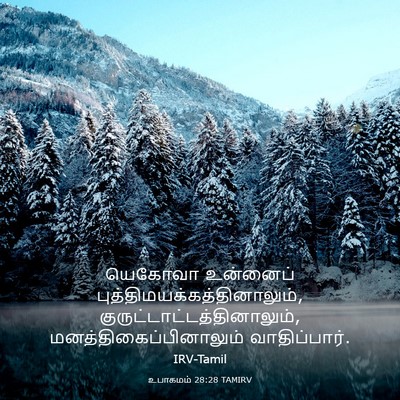 Picture 03 - உபாகமம் 28:28 TAMIRV - யெகோவா உன்னைப் - Bible Verse Picture