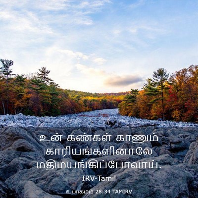 Picture 03 - உபாகமம் 28:34 TAMIRV - உன் கண்கள் காணும் - Bible Verse Picture