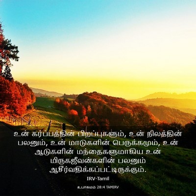 Picture 03 - உபாகமம் 28:4 TAMIRV - உன் கர்ப்பத்தின் - Bible Verse Picture