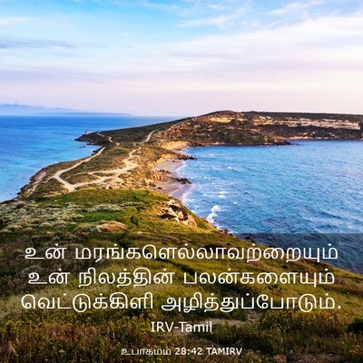 Picture 03 - உபாகமம் 28:42 TAMIRV - உன் - Bible Verse Picture