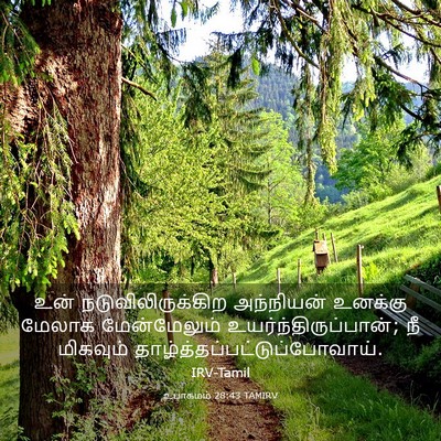 Picture 03 - உபாகமம் 28:43 TAMIRV - உன் - Bible Verse Picture