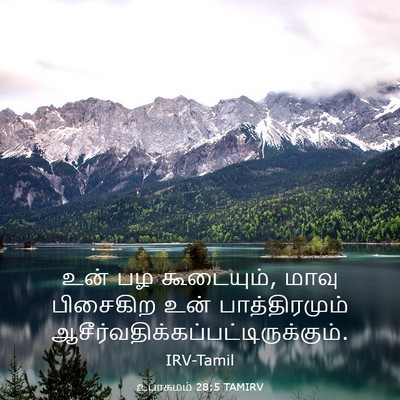 Picture 03 - உபாகமம் 28:5 TAMIRV - உன் பழ கூடையும், - Bible Verse Picture