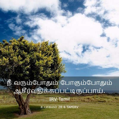 Picture 03 - உபாகமம் 28:6 TAMIRV - நீ வரும்போதும் - Bible Verse Picture