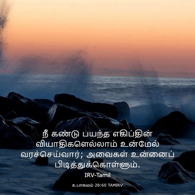 Picture 03 - உபாகமம் 28:60 TAMIRV - நீ கண்டு பயந்த - Bible Verse Picture