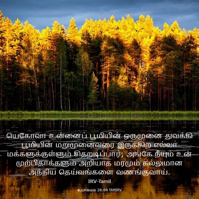 Picture 03 - உபாகமம் 28:64 TAMIRV - யெகோவா உன்னைப் - Bible Verse Picture