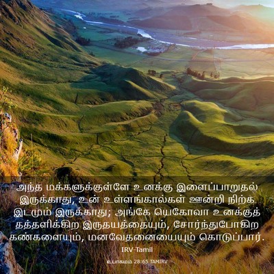 Picture 03 - உபாகமம் 28:65 TAMIRV - அந்த - Bible Verse Picture