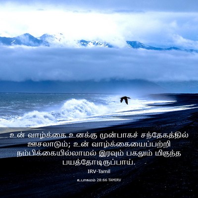 Picture 03 - உபாகமம் 28:66 TAMIRV - உன் வாழ்க்கை - Bible Verse Picture