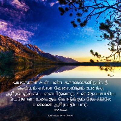 Picture 03 - உபாகமம் 28:8 TAMIRV - யெகோவா உன் - Bible Verse Picture