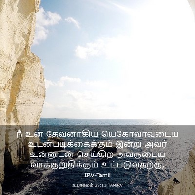 Picture 03 - உபாகமம் 29:11 TAMIRV - நீ உன் தேவனாகிய - Bible Verse Picture