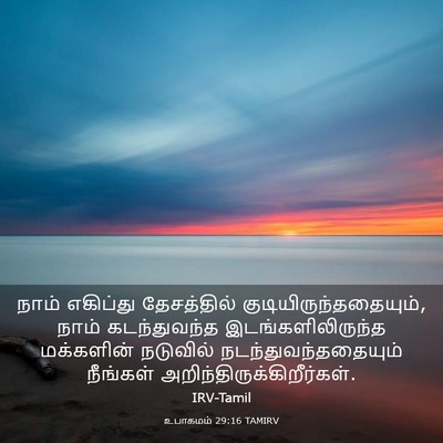 Picture 03 - உபாகமம் 29:16 TAMIRV - நாம் எகிப்து - Bible Verse Picture