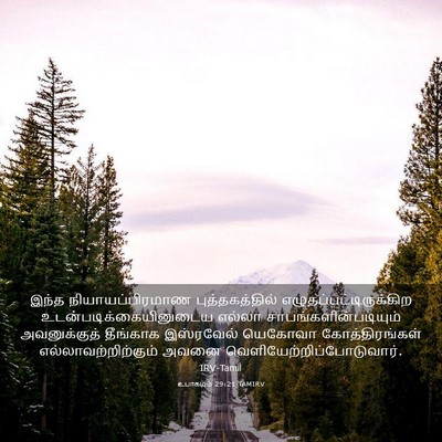 Picture 03 - உபாகமம் 29:21 TAMIRV - இந்த - Bible Verse Picture