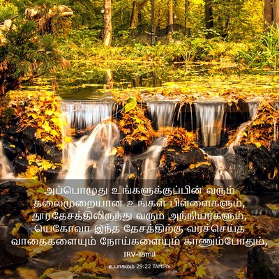 Picture 03 - உபாகமம் 29:22 TAMIRV - அப்பொழுது - Bible Verse Picture