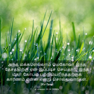 Picture 03 - உபாகமம் 29:24 TAMIRV - அந்த மக்களெல்லாம் - Bible Verse Picture