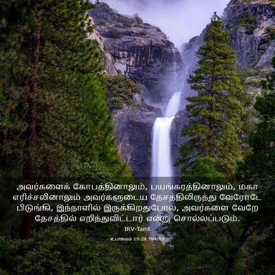 Picture 03 - உபாகமம் 29:28 TAMIRV - அவர்களைக் - Bible Verse Picture