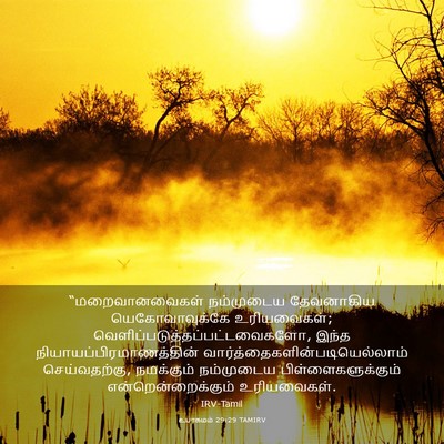 Picture 03 - உபாகமம் 29:29 TAMIRV - “மறைவானவைகள் - Bible Verse Picture