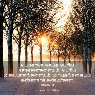 Picture 03 - உபாகமம் 29:3 TAMIRV - யெகோவா செய்த - Bible Verse Picture