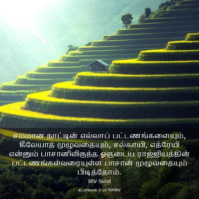 Picture 03 - உபாகமம் 3:10 TAMIRV - சமமான நாட்டின் - Bible Verse Picture