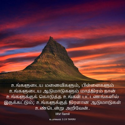 Picture 03 - உபாகமம் 3:19 TAMIRV - உங்களுடைய - Bible Verse Picture