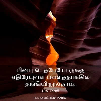 Picture 03 - உபாகமம் 3:29 TAMIRV - பின்பு - Bible Verse Picture