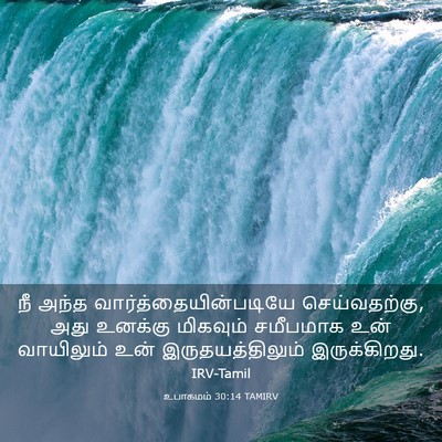 Picture 03 - உபாகமம் 30:14 TAMIRV - நீ அந்த - Bible Verse Picture
