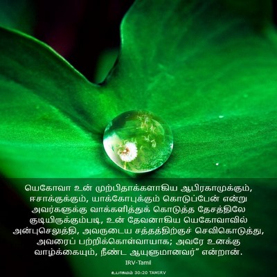 Picture 03 - உபாகமம் 30:20 TAMIRV - யெகோவா உன் - Bible Verse Picture
