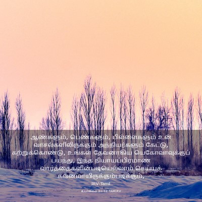 Picture 03 - உபாகமம் 31:12 TAMIRV - ஆண்களும், - Bible Verse Picture