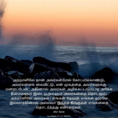 Picture 03 - உபாகமம் 31:17 TAMIRV - அந்நாளிலே நான் - Bible Verse Picture