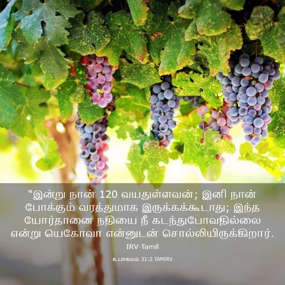 Picture 03 - உபாகமம் 31:2 TAMIRV - “இன்று நான் 120 - Bible Verse Picture