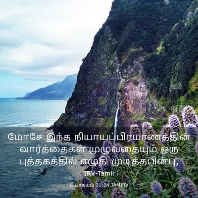 Picture 03 - உபாகமம் 31:24 TAMIRV - மோசே இந்த - Bible Verse Picture