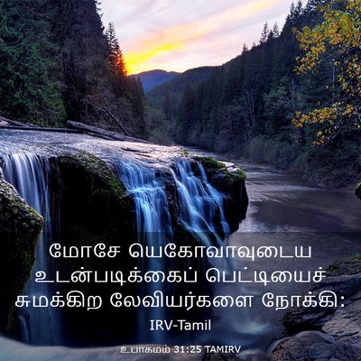 Picture 03 - உபாகமம் 31:25 TAMIRV - மோசே யெகோவாவுடைய - Bible Verse Picture