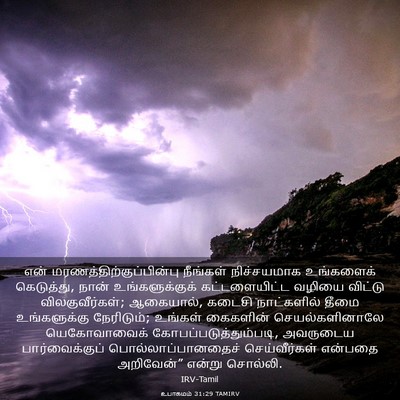 Picture 03 - உபாகமம் 31:29 TAMIRV - என் - Bible Verse Picture