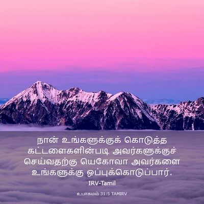 Picture 03 - உபாகமம் 31:5 TAMIRV - நான் உங்களுக்குக் - Bible Verse Picture