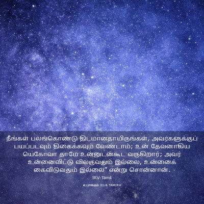 Picture 03 - உபாகமம் 31:6 TAMIRV - நீங்கள் - Bible Verse Picture