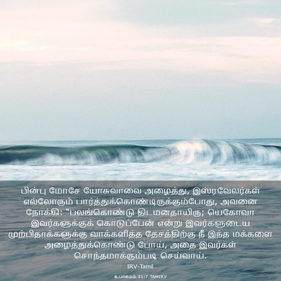 Picture 03 - உபாகமம் 31:7 TAMIRV - பின்பு மோசே - Bible Verse Picture